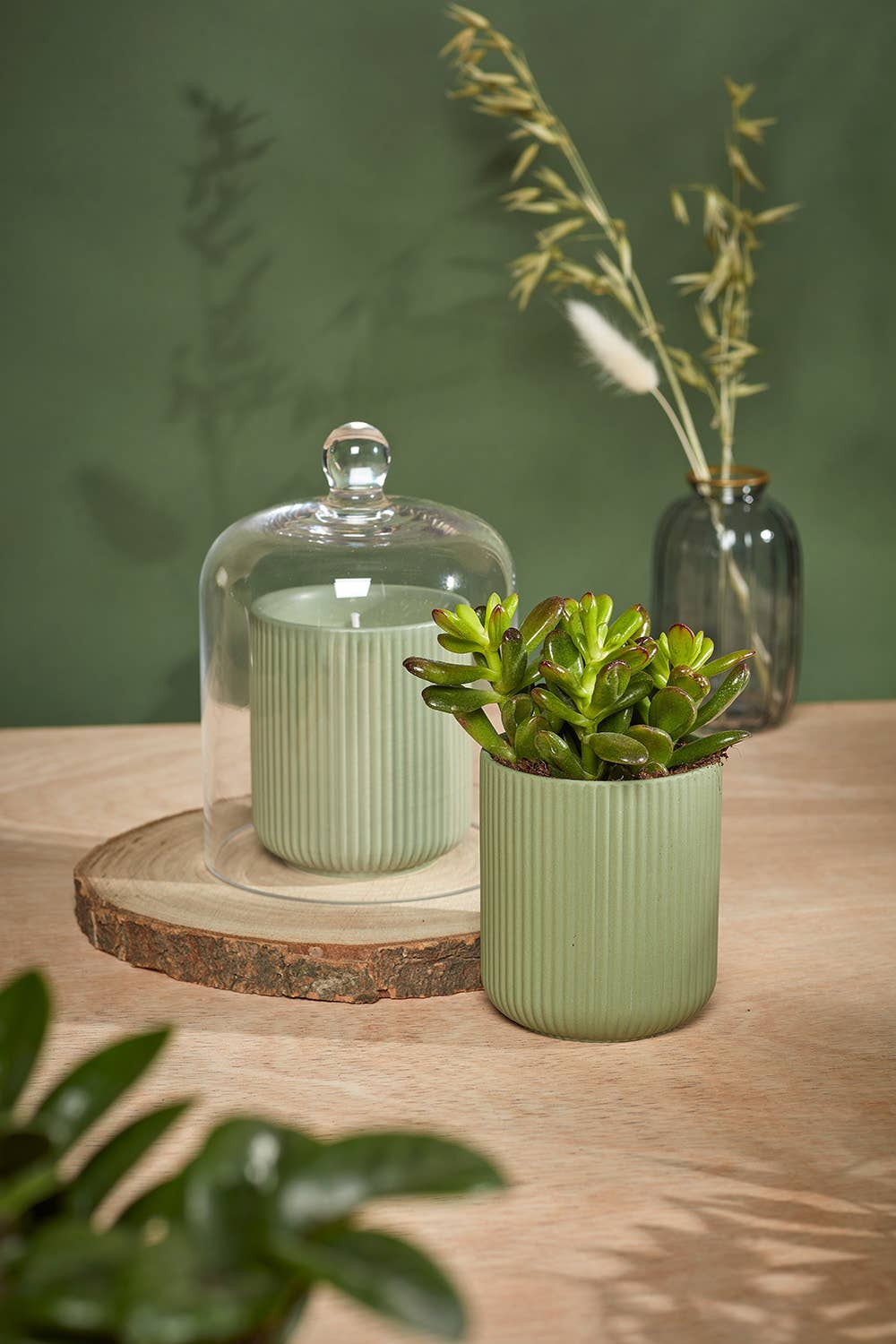 Urban Gardener Glass Candle Dome