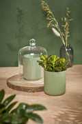 Urban Gardener Glass Candle Dome