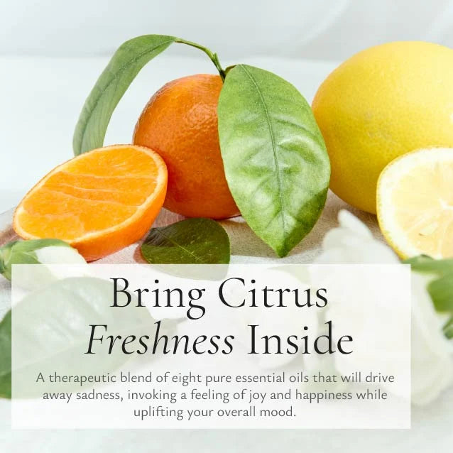 Valentte Reed Diffuser - White Neroli and Lemon